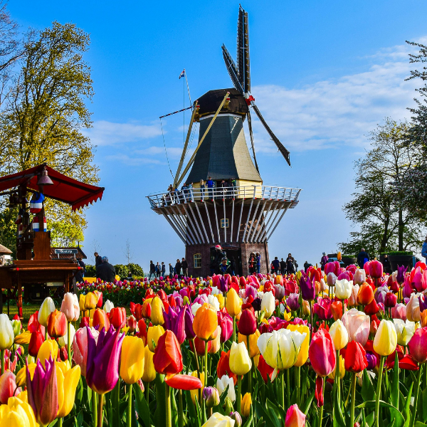 photo keukenhof