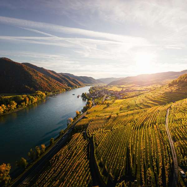 photo vignoble portugal